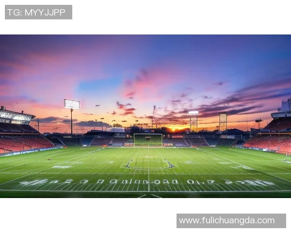 足球明星马脸图片大揭秘看他们如何在球场上展现独特魅力与风采